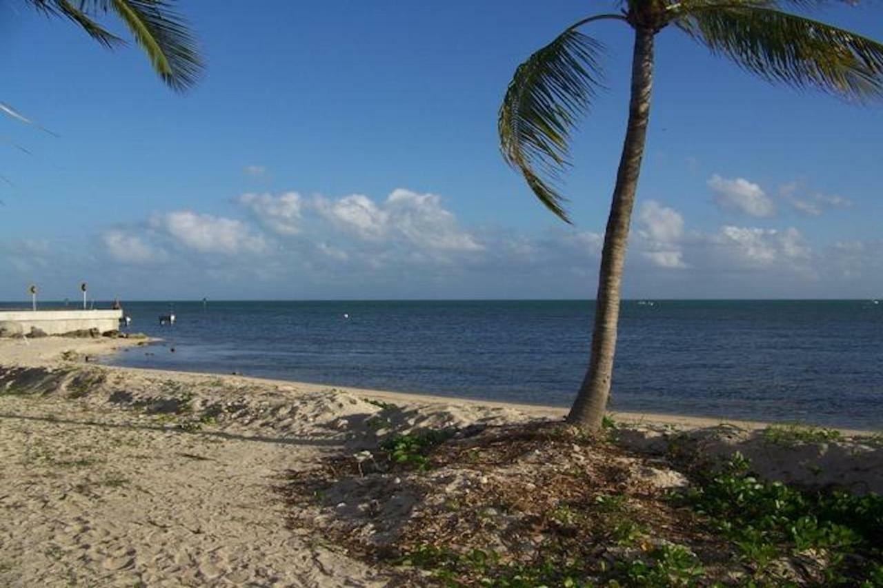 Villa Coconut Palms Key West Exterior foto